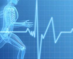 Влияние спорта на организм - Спортивные центры