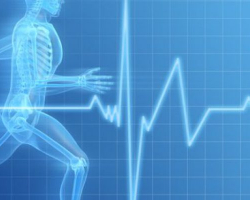 Влияние спорта на организм - Спортивные центры