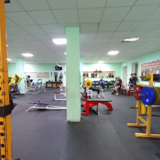 Социальная поддержка участников специальной военной операции и их семей.